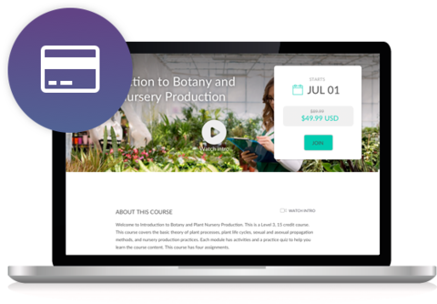 Stripe integration set up